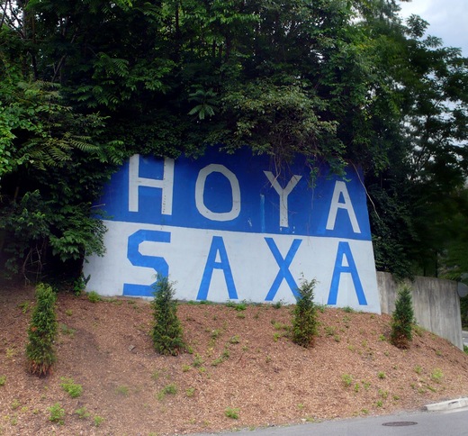 Hoya - Saxa.jpg